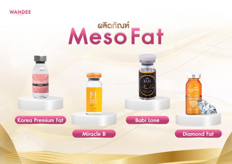 เมโสแฟต อุดร