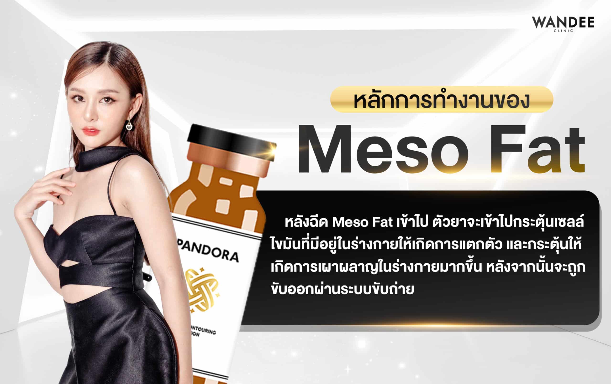 หลักการทำงานของ Meso Fat